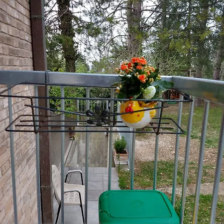 Il Torchio-urbino Bed and Breakfast