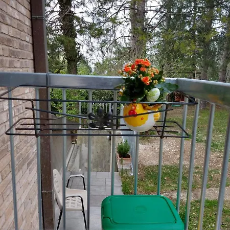 Bed and Breakfast Il Torchio-urbino